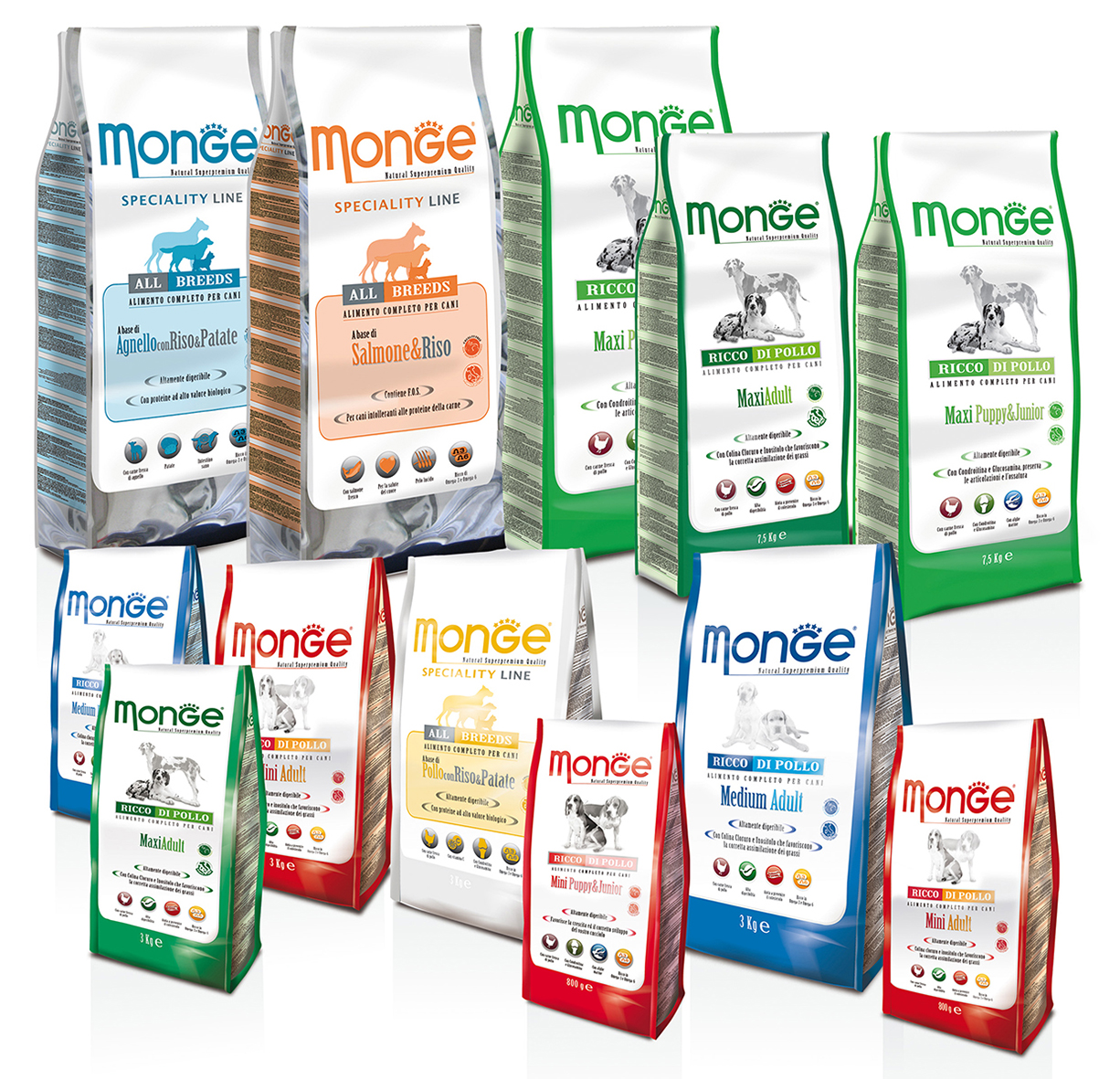 Monge SPA
